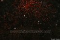 thrissur-pooram-2011- (112)